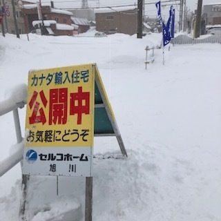 image1.jpeg