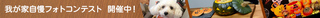 photocontestbanner.jpg